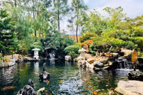 Xử phạt một doanh nghiệp 140 triệu đồng vì vi phạm về đất đai, đê điều