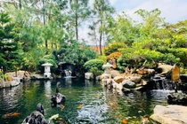 Xử phạt một doanh nghiệp 140 triệu đồng vì vi phạm về đất đai, đê điều