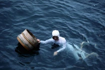 Bí mật nhà nghề của những thợ lặn bắt bào ngư dâng vua ở Nhật