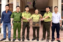 Tận mục cá thể cu li siêu hiếm Vườn quốc gia Vũ Quang tiếp nhận 