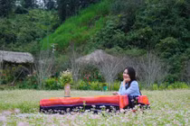 Chiêm ngưỡng mùa hoa đẹp ngày cuối năm tại Lào Cai