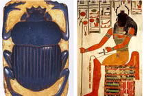 Vì sao loài bọ hung hôi hám được chọn để bảo vệ xác ướp Ai Cập?