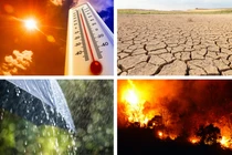 Cực sốc tiên tri song trùng về thảm họa khủng khiếp năm 2022