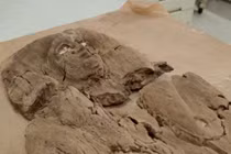 Kỳ bí xác ướp mỹ nhân “nằm nhầm” trong mộ Pharaoh Ai Cập