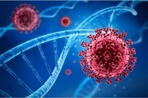 Cực nóng: Phát hiện biến chủng nCoV mới, lan ra ít nhất 7 nước
