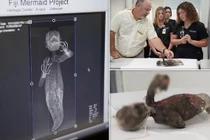 Chụp CT, lộ sự thật ngỡ ngàng về xác ướp “nàng tiên cá” Nhật Bản