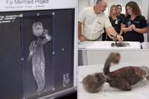 Chụp CT, lộ sự thật ngỡ ngàng về xác ướp “nàng tiên cá” Nhật Bản