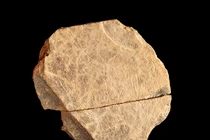 Bí mật chưa từng hé lộ về những tảng đá 15.000 tuổi 