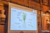 Chân dung hai nhà khoa học Việt được Pháp vinh danh