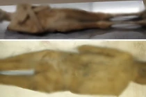 Nội soi xác ướp tu sĩ thế kỷ 18, lộ bí mật động Trời