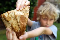 Đi dạo biển, nhặt được thứ tưởng bỏ đi hóa ra "báu vật" tiền tỷ 