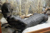 Bí ẩn chuyện về người cá sấu kỳ lạ nhất hành tinh