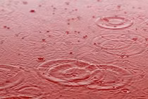 Sửng sốt trận "mưa máu" chấn động thế giới năm 2001 