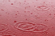 Sửng sốt trận "mưa máu" chấn động thế giới năm 2001 