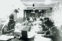 Giải mã công việc của những nhân viên... giải mã trong chiến tranh