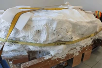 Quái đản khối đá nặng 9 tấn, bên trong lúc nhúc toàn “quái vật“