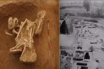 Mở mộ ái nữ Tần Thủy Hoàng, chuyên gia "lạnh người" khi biết sự thật 