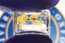 Đại học Oxford phát triển pin sinh học lithium nhỏ nhất thế giới