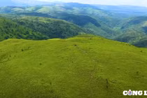 Thảo nguyên Pal sol (Đắk Lắk), điểm đến hấp dẫn với người đam mê trekking