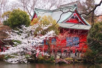 Ly kỳ công viên Nhật Bản bị đồn khiến các cặp đôi chia tay