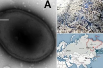 Băng tan chảy, chuyên gia lo ngay ngáy virus cổ đại “hồi sinh" 