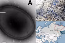 Băng tan chảy, chuyên gia lo ngay ngáy virus cổ đại “hồi sinh" 