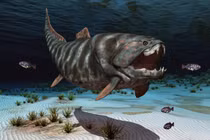 Đáng sợ loài cá có thể cắn đứt đôi cơ thể cá mập trắng