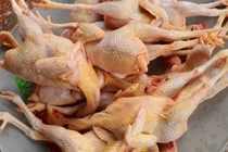 Bệnh nhi đầu tiên mắc cúm A/H5 suy đa tạng, sốc nhiễm khuẩn