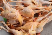 Bệnh nhi đầu tiên mắc cúm A/H5 suy đa tạng, sốc nhiễm khuẩn