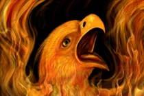 Huyền bí sức mạnh chim phượng hoàng của người xưa