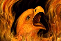 Huyền bí sức mạnh chim phượng hoàng của người xưa