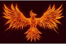 Truyền thuyết về loài chim thần tái sinh sau khi cháy thành tro