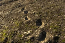 Bí ẩn không lời giải những “dấu chân của quỷ", chuyên gia bối rối 