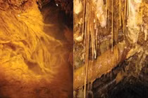 Đột nhập mỏ hoang, chuyên gia ngỡ ngàng thấy dạng sống “ngoài hành tinh”