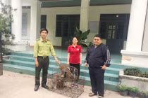 Tận mục cá thể khỉ đuôi lợn siêu hiếm VQG Chư Mom Ray tiếp nhận 