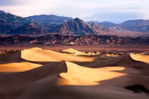 Giật mình nơi nóng nhất Trái Đất, nhiều loài vẫn sống bền bỉ