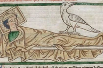 Bí ẩn loài chim thần lông trắng như tuyết, chữa được bách bệnh