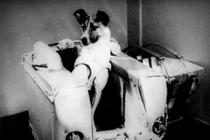 Số phận “phi hành gia 4 chân” Laika sau khi bay vào vũ trụ