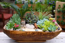 6 loại hoa trồng ban công mang đến tài vận tốt cho gia chủ