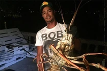 Sư tử đại chiến giành ngôi vương, diệc xanh lớn ăn thịt cá mập