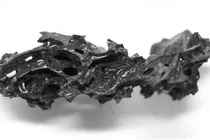 View -  Phát hiện bộ não cổ đại nguyên vẹn sau hơn 4.000 năm chôn vùi | Báo Tri thức và Cuộc sống - TIN TỨC PHỔ BIẾN KIẾN THỨC 24H