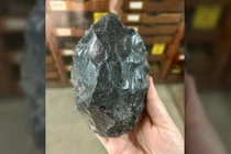 Phát hiện họ hàng vô danh của con người, sở hữu IQ vô cực 