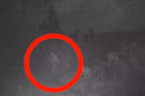 Xem ảnh cũ, bất ngờ thấy quái vật Bigfoot “hiện nguyên hình” 