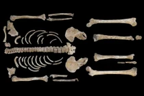 Soi hài cốt chiến binh Celtic 2.500 tuổi, lộ bí mật động Trời