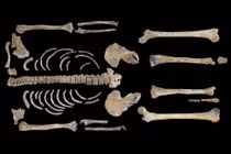 Soi hài cốt chiến binh Celtic 2.500 tuổi, lộ bí mật động Trời