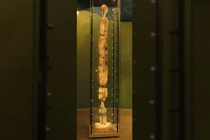 Bí ẩn tượng gỗ 12.000 tuổi không bị mục nát, chuyên gia kinh ngạc