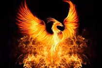 Huyền thoại sinh vật thọ 500 năm tuổi, chết đi sống lại nhiều lần