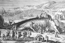 Bất ngờ những luật cấm oái ăm ở châu Âu thời Trung cổ