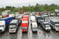 Loại bỏ giấy phép con để có sức chống 'giặc' dịch lâu dài