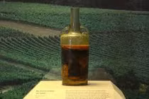 Mở mộ cổ 1.700 tuổi, bất ngờ chai rượu vang vẫn còn uống được 